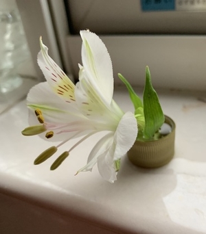素直に受け取ってみようっと♡