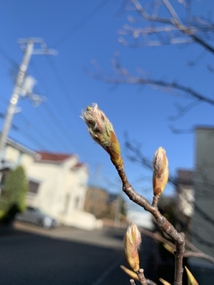 １つの役割が終わったら、潔くそこから飛び立とう