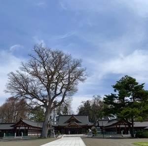 平成から令和に変わるこの機会を、あなたの転機にしませんか〜