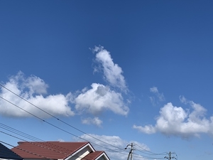 何でも自分でやろうとしなくて大丈夫☆
