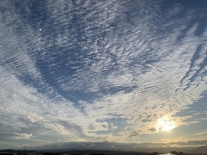 秋の空です、うろこ雲。