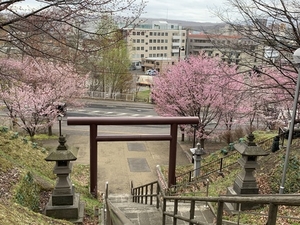 なんなの〜